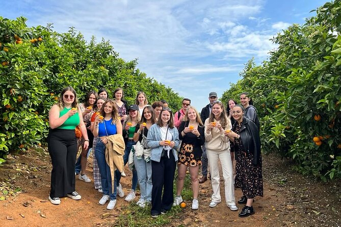 Live an Experience Among Orange Trees in Huerto Ribera - Last Words