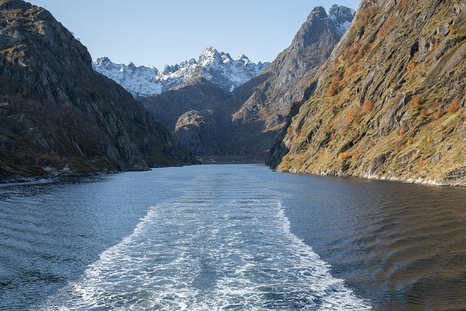 Lofoten Island: Silent Trollfjord Cruise From Svolvær - Recommendations and Discounts