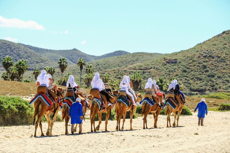 Los Cabos: Arch Tour by Speedboat and Camel Ride on Beach - Common questions