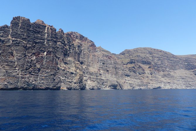 Los Gigantes Whale Watching Charter by Sail Boat - Booking Information