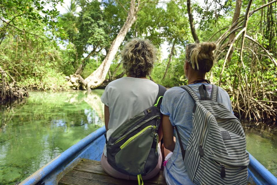 Los Haitises: Boat Excursion and Walking Tour With Lunch - Boat Excursion Itinerary