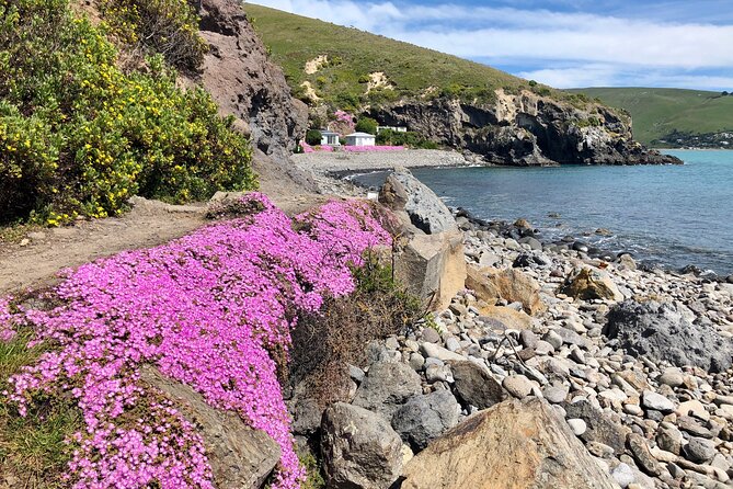 Luxury Private Guided Crater Rim Walk on Banks Peninsula - Last Words