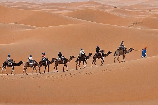 Luxury Sahara Desert From Fez Back to Fez or Marrakech Overnight - Pricing Information