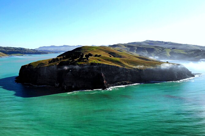 Lyttelton Shore Excursion - Guided Walking Tour and Picnic - Common questions