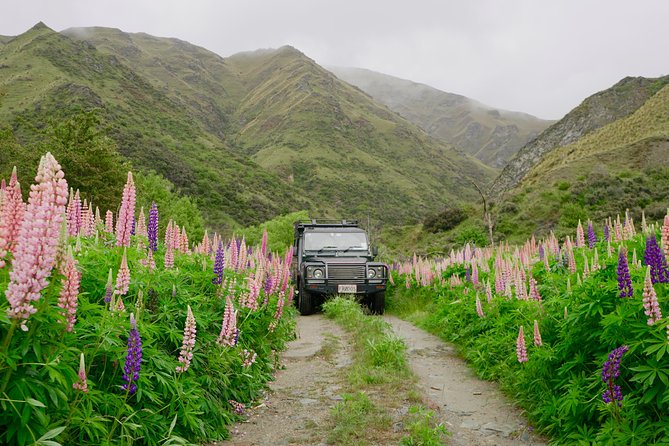 Macetown 4WD Tour From Queenstown - Last Words