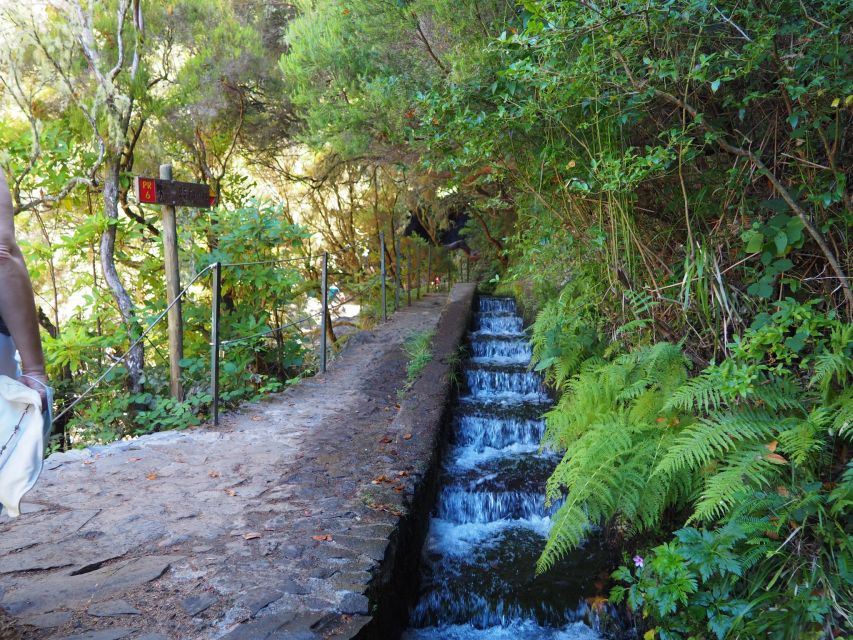 Madeira: 25 Fontes and Risco Levada Hike With Transfers - What to Bring