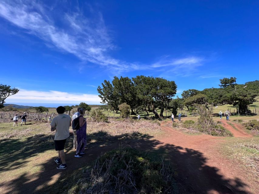 Madeira: Full-Day Jeep Tour With Guide and Pickup - Transportation