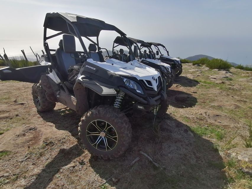 Madeira: Half-Day Off-Road Buggy Tour - Review Summary and Customer Ratings