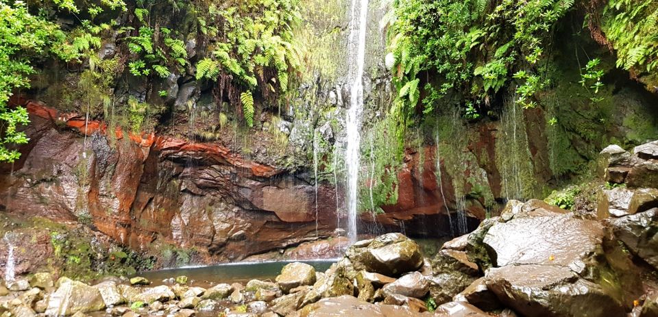 Madeira: Mountain Walk With Lagoon and Waterfalls - Live Tour Guide