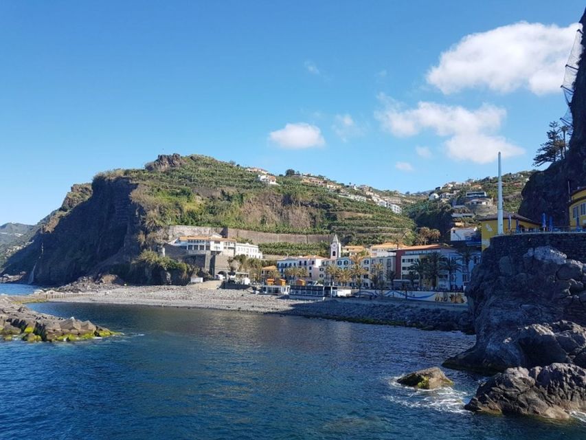 Madeira: South Island Private Tour - Farm Animal Center Visit