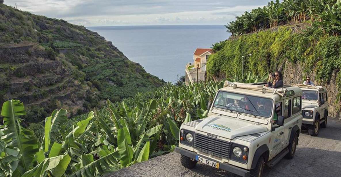 Madeira: The Best of South Jeep Tour - Customer Feedback