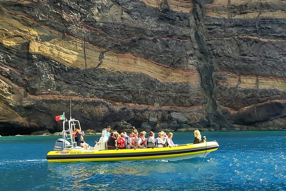 Madeira: Whale and Dolphin Watching Tour - Departure Point Information