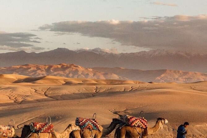 Magical Dinner With Camel Ride at Sunset in Agafay Desert - Background