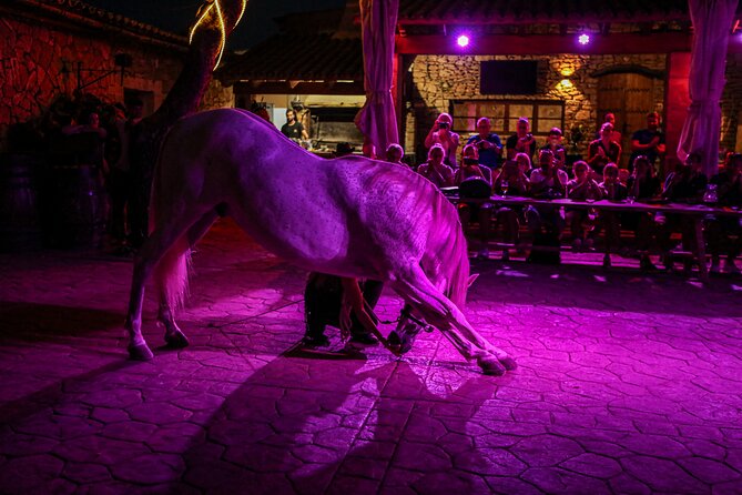 Mallorca Evening Tour: Horseback Riding, Dinner and Dance - Last Words