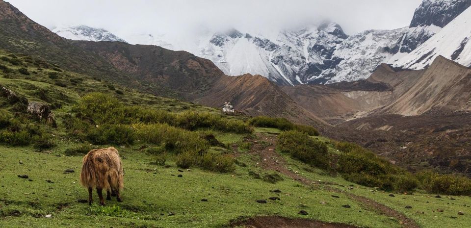 Manaslu Circuit Trek - Common questions