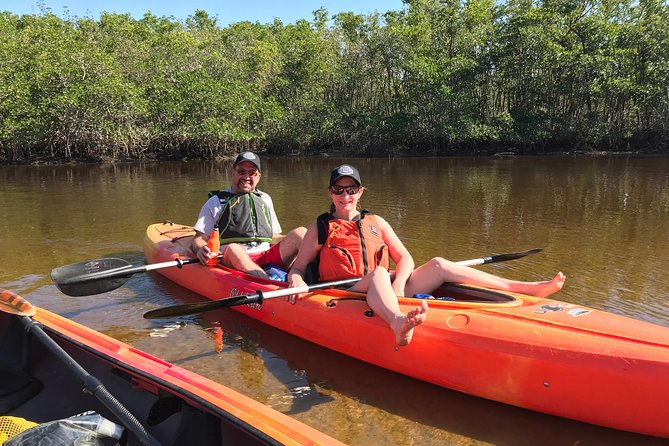 Manatees and Mangrove Tunnels Small Group Kayak Tour - The Wrap Up