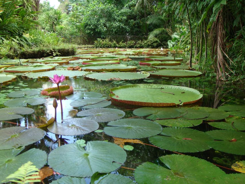 Manaus: Full-Day Tour on the Amazon River - Review Summary