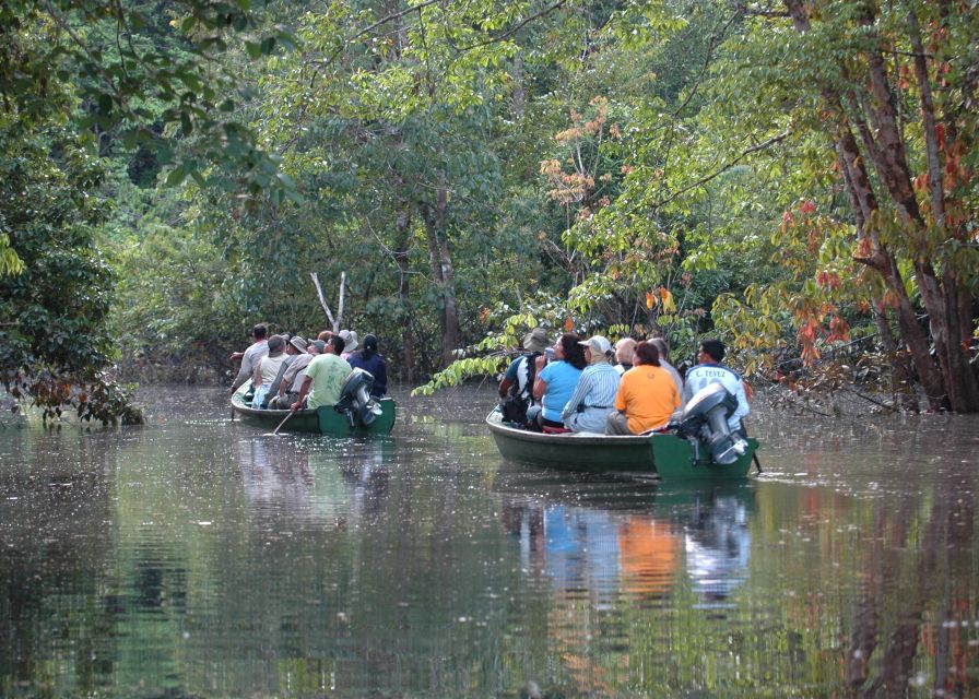 Manaus: Meeting of the Waters & Pink Dolphin Tour With Lunch - Common questions