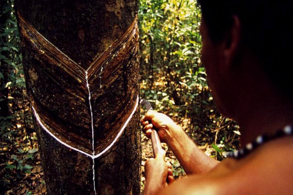 Manaus: Rubber Museum Seringal Museum - Safety and Guidelines