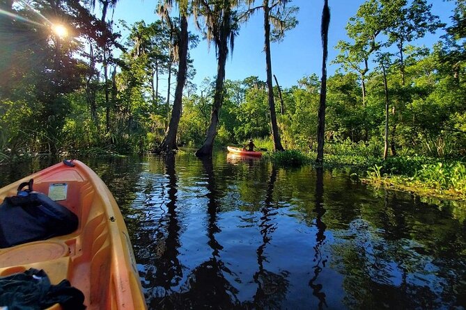 Manchac Swamp Kayak Small-Group Tour - Location and Setting