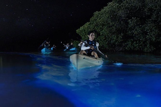 Mangrove Tunnel, Manatee and Dolphin Kayak Tour of Cocoa Beach - Common questions