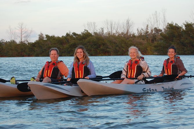 Mangrove Tunnels, Manatee, and Dolphin Sunset Kayak Tour With Fin Expeditions - Common questions