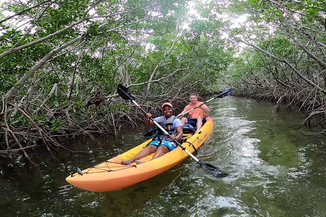 Mangroves and Manatees - Guided Kayak Eco Tour - Wildlife Encounters