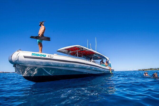 Manta Ray Snorkel Moonlight Kona Hawaii- Small Group - Customer Reviews and Recommendations