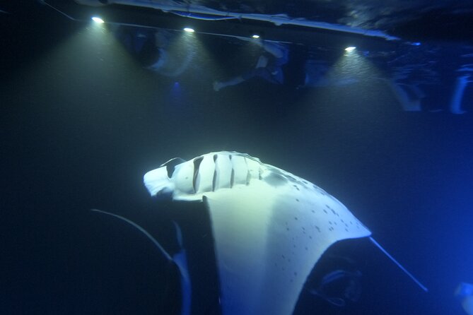 Manta Ray Snorkeling by Night in Kailua-Kona, Hawaii - Weather Considerations