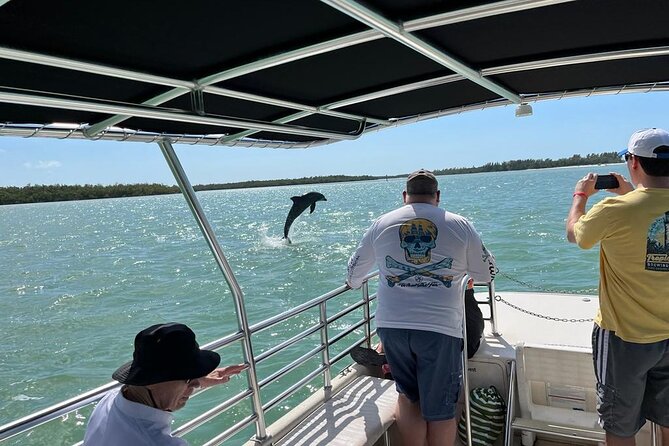 Marco Island Dolphin Sightseeing Tour - The Wrap Up