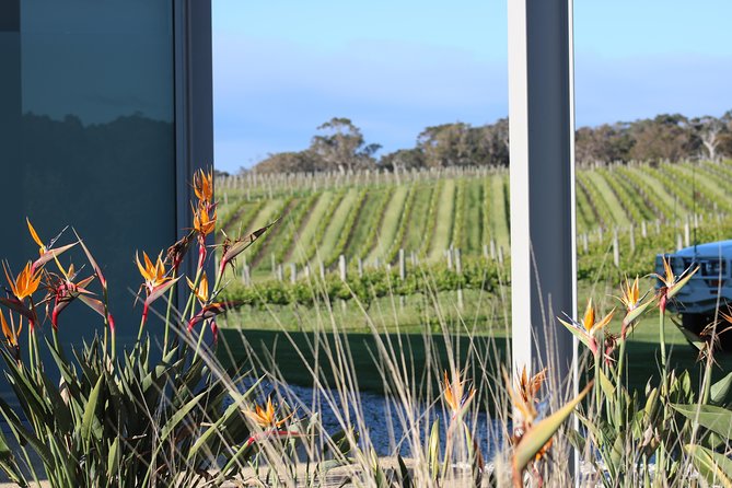 Margaret River Wine and Sights Discovery Tour From Busselton or Dunsborough - Last Words