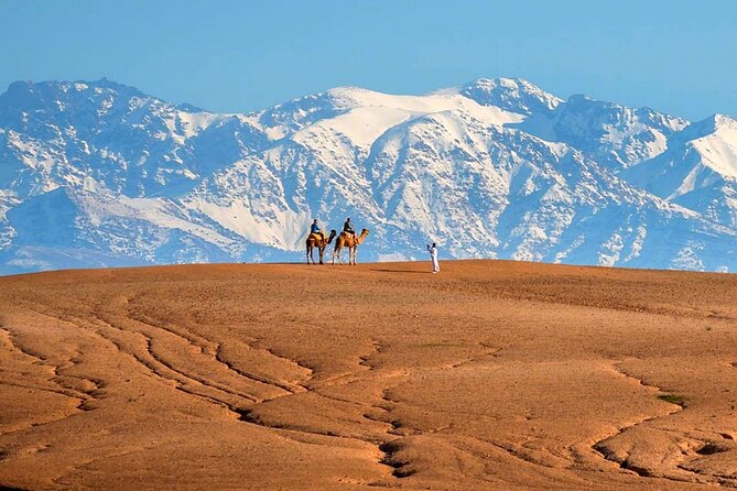 Marical Dinner and Camel Ride at Sunset in Desert of Marrakech - Last Words