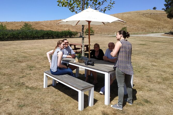 Marlborough Discovery Sampler Wine Tour - 1/2Day Blenheim - Winery Experience Feedback