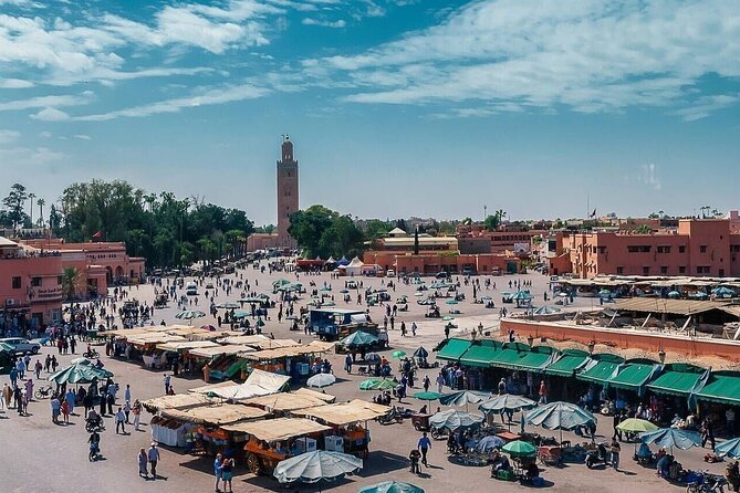Marrakech Day Trip Including Lunch, Camel Ride From Casablanca - Last Words