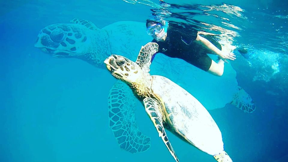 Marsa Alam: Private Snorkeling Trip With Dugong and Turtles - Common questions