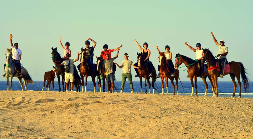 Marsa Alam: Sea and Desert Horse Riding Tour - Additional Information