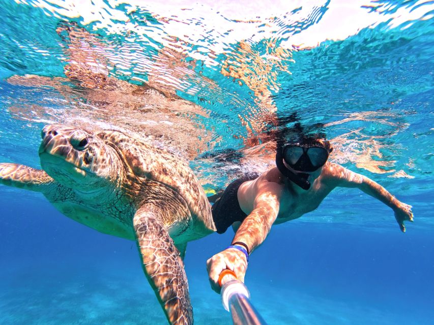 Marsa Alam: Snorkel With Sea Turtles Marsa Mubarak - Transportation Information