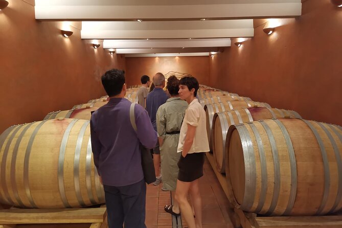 Marseille Shore Excursion - Full Day Wine Tour in Provence - Last Words