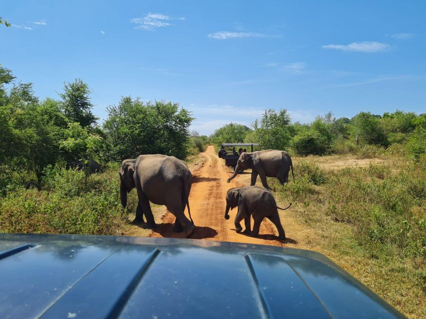 Mathara To Udawalawe National Park Safari Tour - Safari Tour Logistics