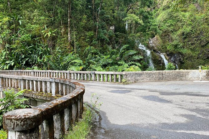 Maui by Storm: Epic Private Luxury Road to Hana Adventure Tour - Traveler Experiences
