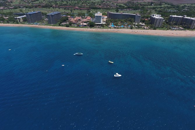 Maui Half-Day Snorkel & Dolphin Tour (Whale-Watching Seasonal) - Cancellation Policy Information