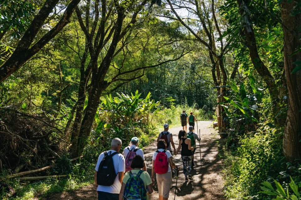 Maui: Hike to the Rainforest Waterfalls With a Picnic Lunch - Transportation Information