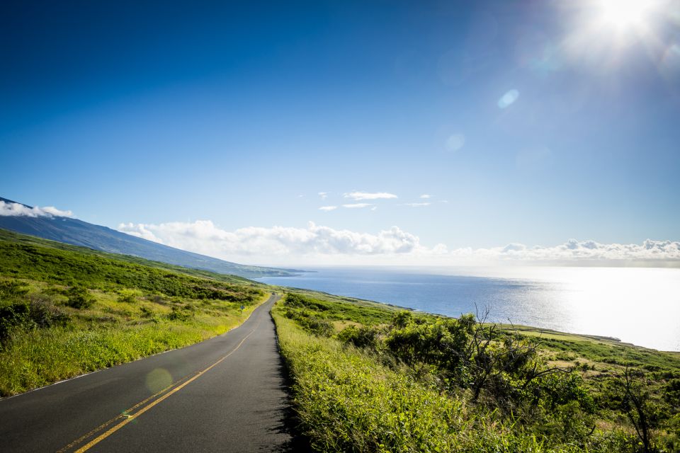 Maui: Private Customizable Island Tour With Transfer - Background