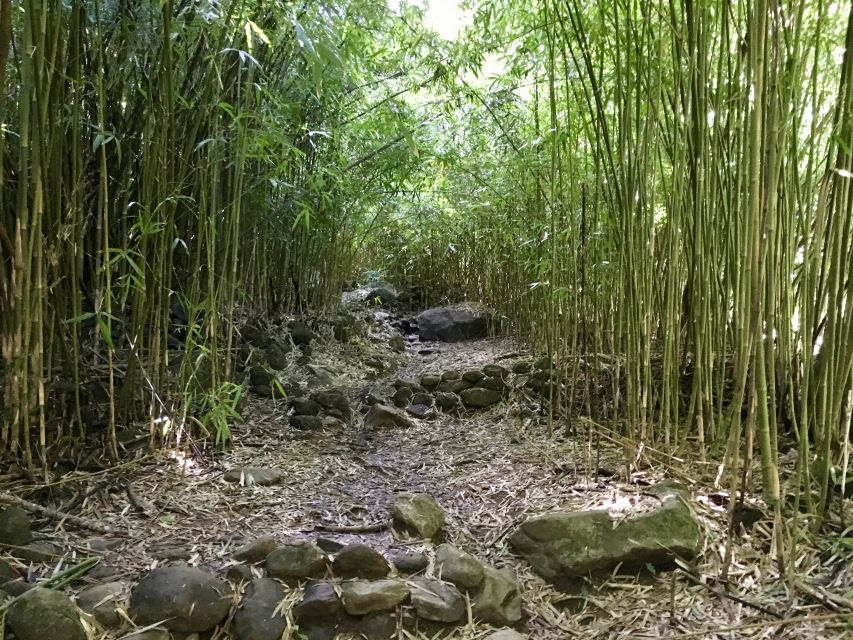 Maui: Private Jungle and Waterfalls Hiking Adventure - Customer Reviews and Testimonials