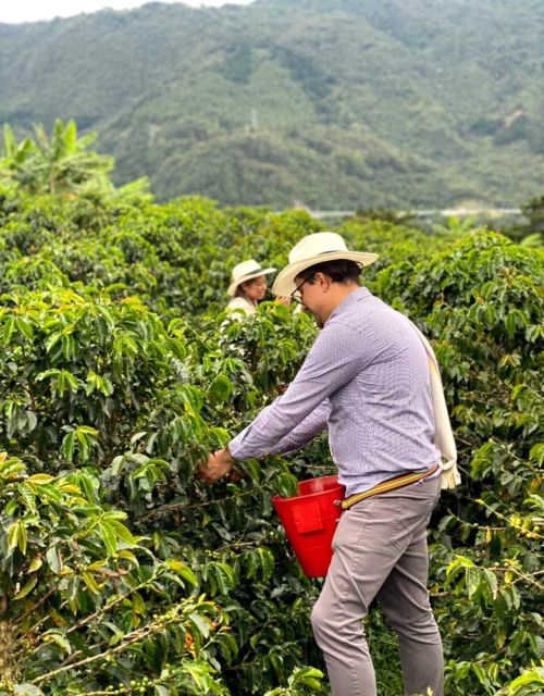 Medellín Coffee Farm Tour With Trolley and Cable Car Ride - Directions