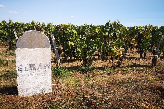 Medoc Region Wine Day Trip With Vineyard Visits & Tastings From Bordeaux - Last Words
