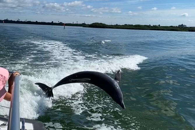 Mega Bite Dolphin Tour Boat in Clearwater Beach - Booking Confirmation