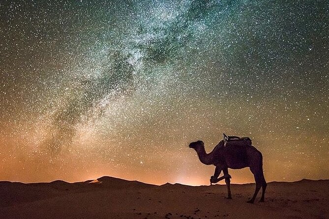 Merzouga Camel Ride & Overnight Desert Camps - Departure Details