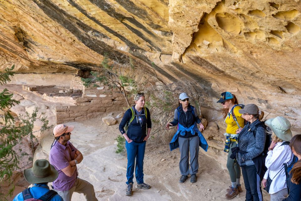 Mesa Verde National Park Tour With Archaeology Guide - Transportation Logistics