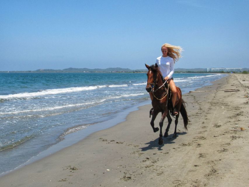 Miami: Beach Horse Ride & Nature Trail - Common questions